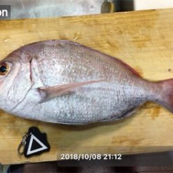 尾鷲タイラバ釣行