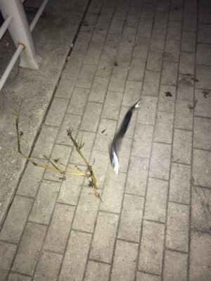 爆発力なし、サイズは小型化