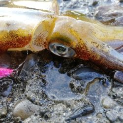 出勤前の10分勝負！