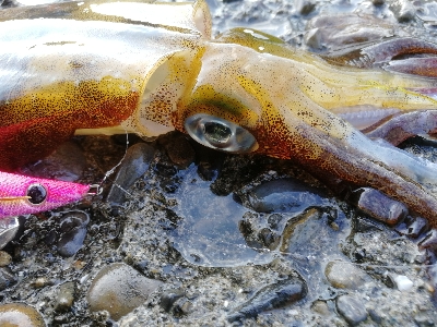 出勤前の10分勝負！