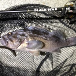 短時間ナイトロ