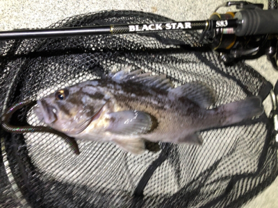 短時間ナイトロ