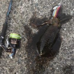 この時期にしたらいいサイズ