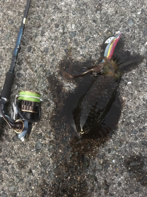 この時期にしたらいいサイズ