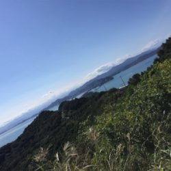 淡路初エギング