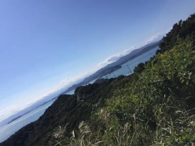 淡路初エギング