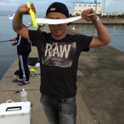 かもめ大橋で太刀魚狙い