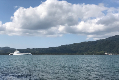 アオリイカを求めて④