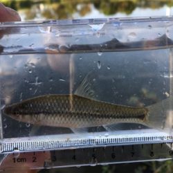 連休最後はのんびりと