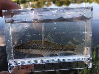 連休最後はのんびりと