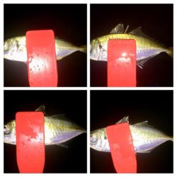 アジンガー1840〜2041