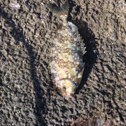 千畳敷へ初釣行