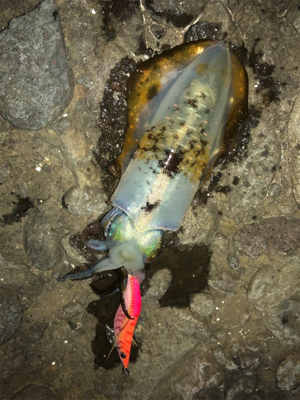 風の合間を縫って‼︎