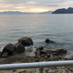 厳しい（╹◡╹）