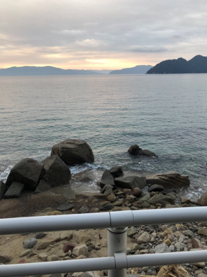 厳しい（╹◡╹）