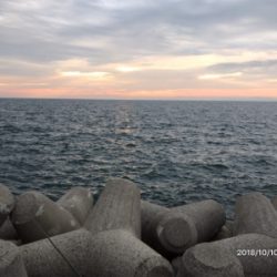 マイクロベイト