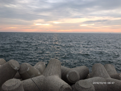 マイクロベイト