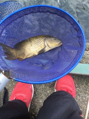 草柳フィッシングセンター