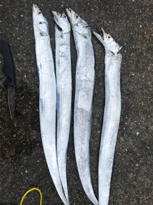 のませのはずが、、、、