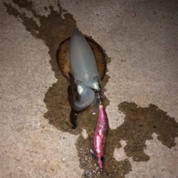 待望の淡路島^_^