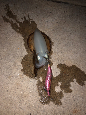 待望の淡路島^_^