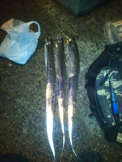 南港フェリー乗り場リベンジ