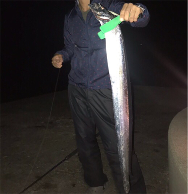 ドラゴン級サイズゲットだぜ！