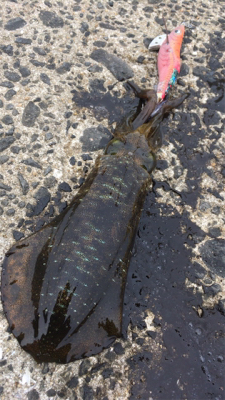 スクイットパーティー