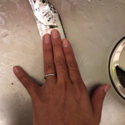 タチウオ夜ワインド