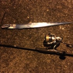 太刀魚ハント！