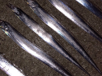 ケーソン〜芦屋浜