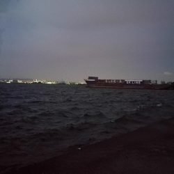 久々武庫川一文字