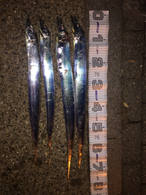 癒しのウキ釣り