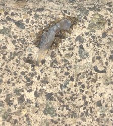 寒すぎ！釣果も寒い