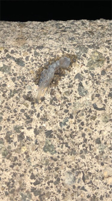 寒すぎ！釣果も寒い