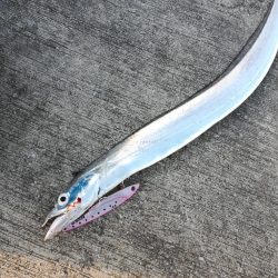 ジグパラブレード