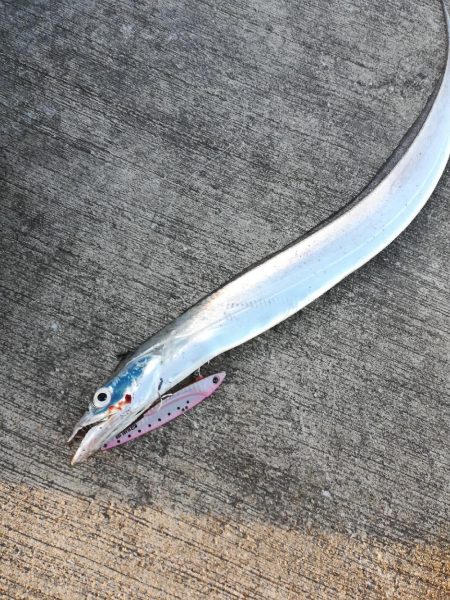 ジグパラブレード