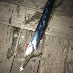 テンヤの重さは？