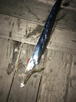 テンヤの重さは？