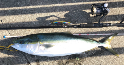 念願の今年初ブルー！！