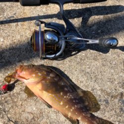 しまなみショアジギ まずは投げラバ