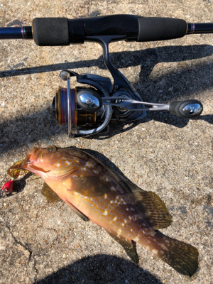 しまなみショアジギ まずは投げラバ