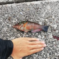 ショアジギング