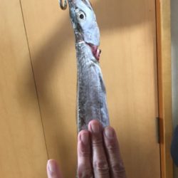 ショアから指3本幅(^^)