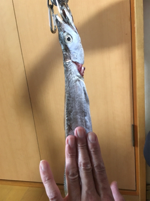 ショアから指3本幅(^^)