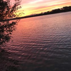 バラシまくりの釣行