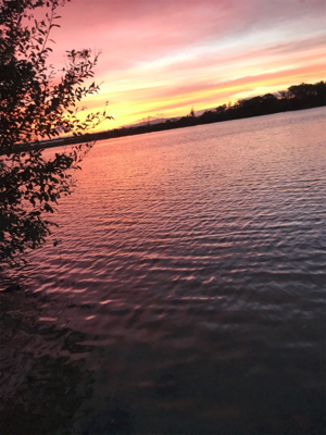 バラシまくりの釣行