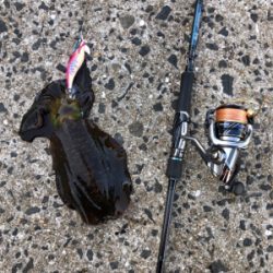 秋イカエギング