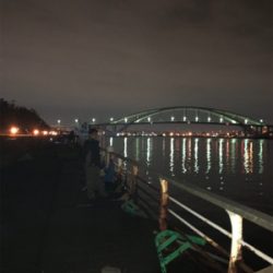 ゆっくりとした釣りですか