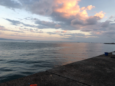 青物狙いでサゴシ